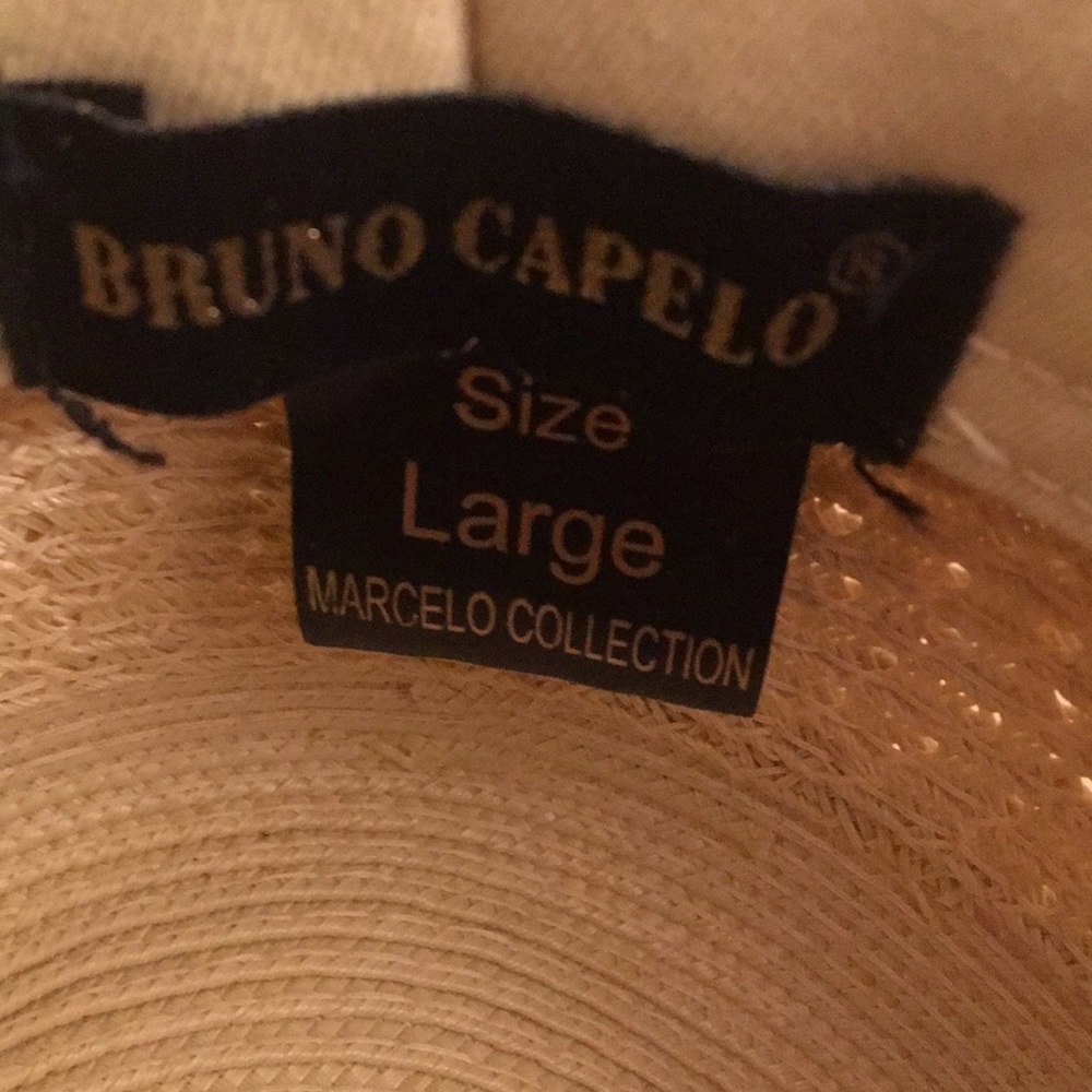Bruno Capelo - Picture 3 of 3